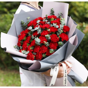 温情意-红色康乃馨33枝,搭配尤加利。