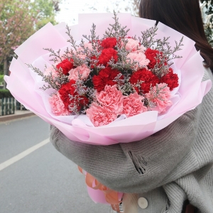 生命里的烛光-19朵红色、粉色康乃馨混搭，搭配情人草等配花