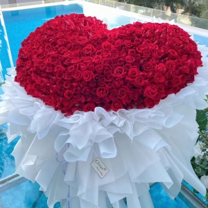 爱的泡泡-999朵卡罗拉红玫瑰，蝴蝶结表面装饰点缀