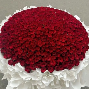 比翼双飞-999朵卡罗拉红玫瑰，蝴蝶结表面装饰点缀