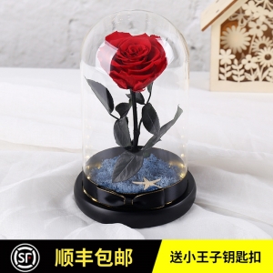 进口永生花礼盒玻璃罩小王子的玫瑰花一朵女友生日教师情人节礼物