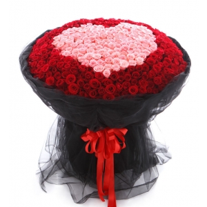 我爱你-520枝玫瑰：红玫瑰321枝，粉色戴安娜玫瑰199枝围成心形
