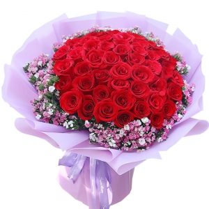 忘情巴黎-66朵红玫瑰，粉色石竹梅丰满围边