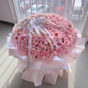 甜蜜告白-精选520朵优质粉玫瑰，花球造型，鲜花表面用绿色白色缎带花结装饰
