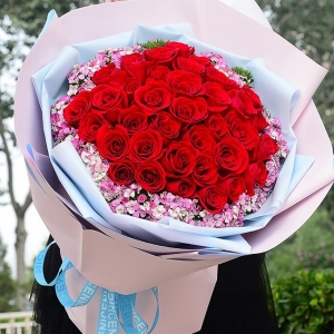 浅浅微笑-33朵红玫瑰，粉色相思梅丰满围边