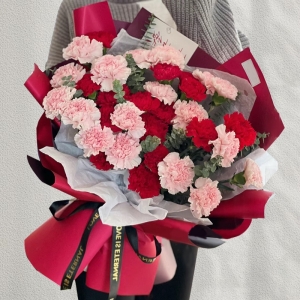 护花春泥-18枝粉色康乃馨，15枝红色康乃馨，尤加利叶间插点缀。