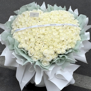 满心是你-199朵白玫瑰，