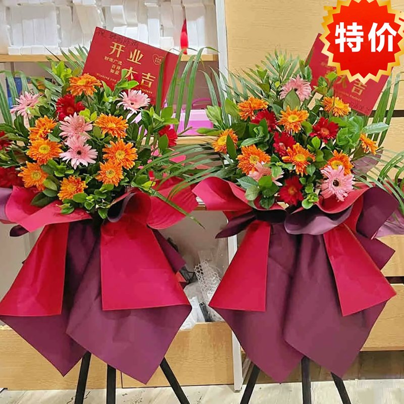鸿运福星-16支混色扶郎花,栀子叶散尾叶搭配
