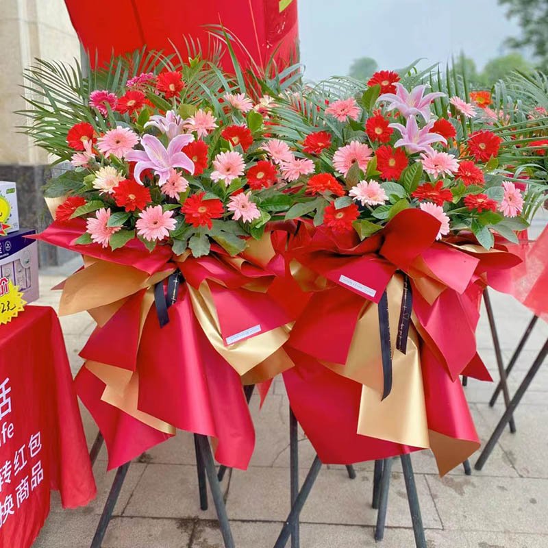 吉祥开业-20朵混色扶郎花,1支百合,搭配栀子叶、散尾葵。红+金色欧雅纸束扎,黑色花结