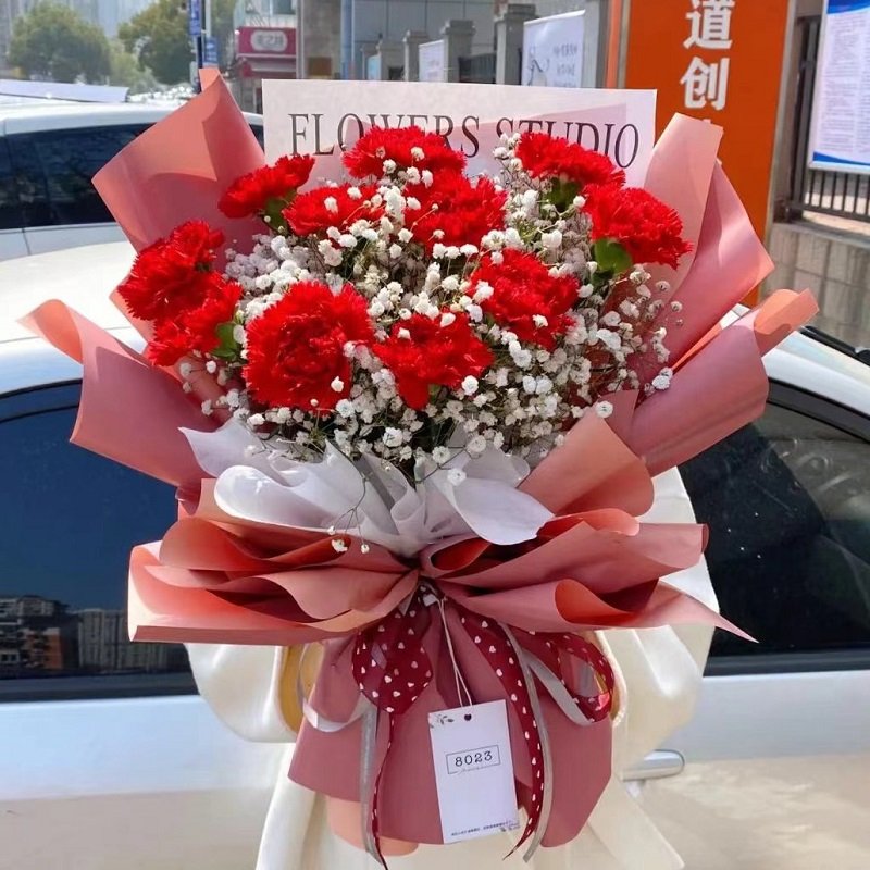 幸福典藏-11朵红色康乃馨,搭配满天星装饰