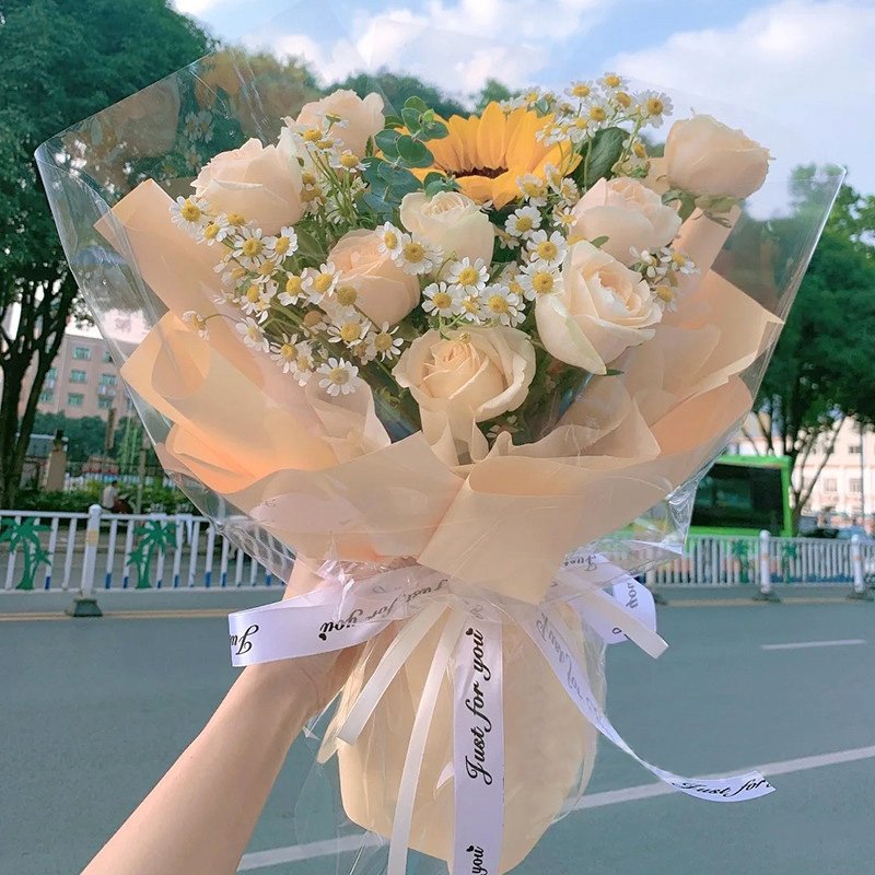 阳光心情-9朵香槟玫瑰,1枝向日葵,洋甘菊(或其它配花),尤加利;如图包装