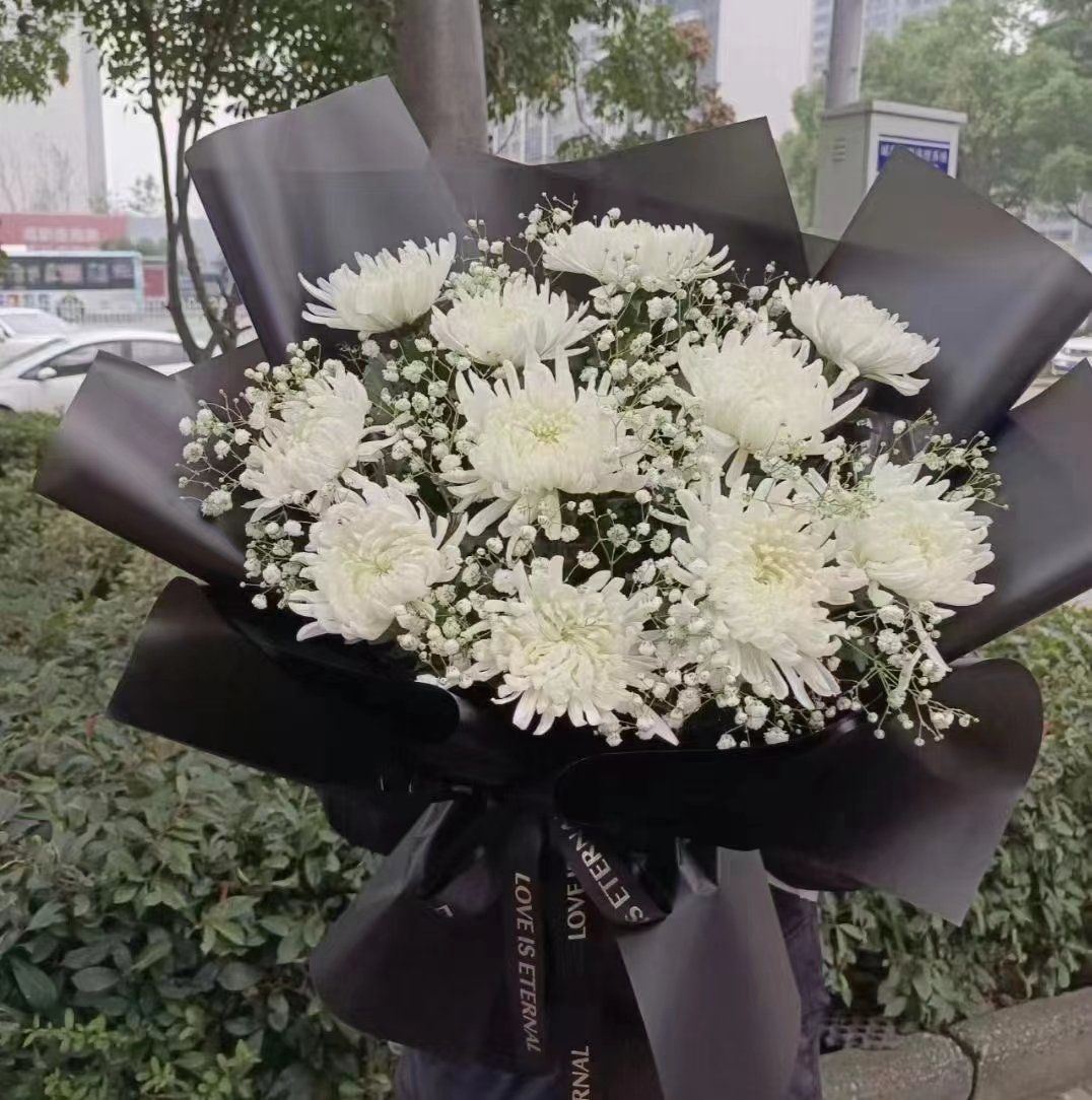 思念/11朵白菊花配满天星精美花束包装